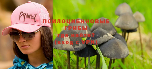 индика Алексеевка