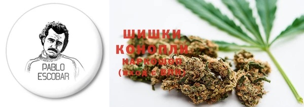 молекула духа Алзамай