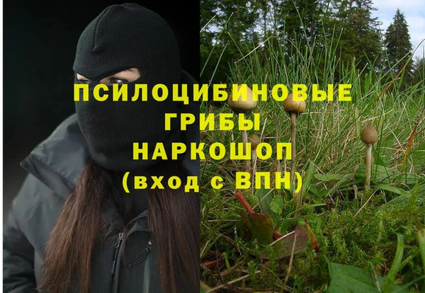 индика Алексеевка