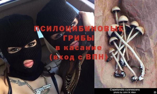 индика Алексеевка