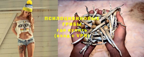 молекула духа Алзамай