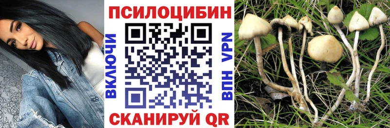 blacksprut зеркало Анапа Галлюциногенные грибы MAGIC MUSHROOMS